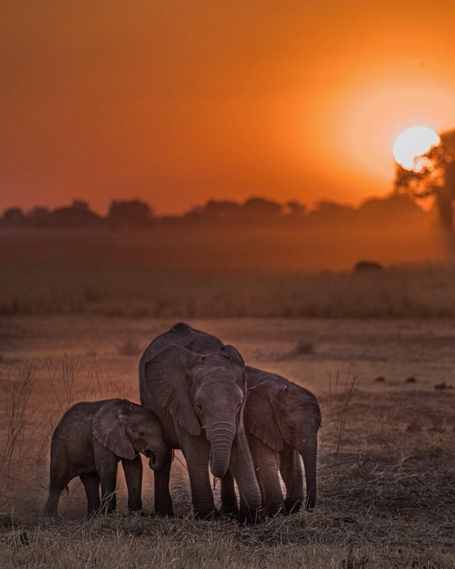 Image number 3 for  5 Days Manyara Ngorongoro Serengeti