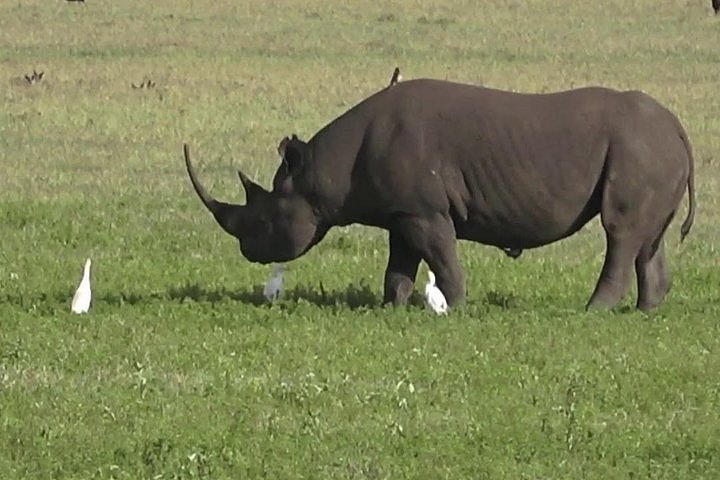 Image number 1 for 3 Days Mkomazi National Park