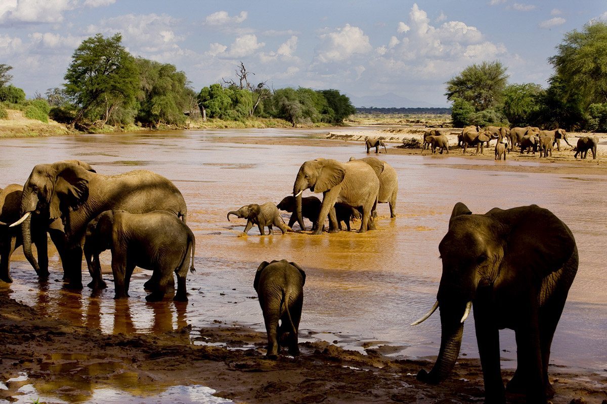 Image number 5 for Explore Samburu In Style: A 3-day Safari 