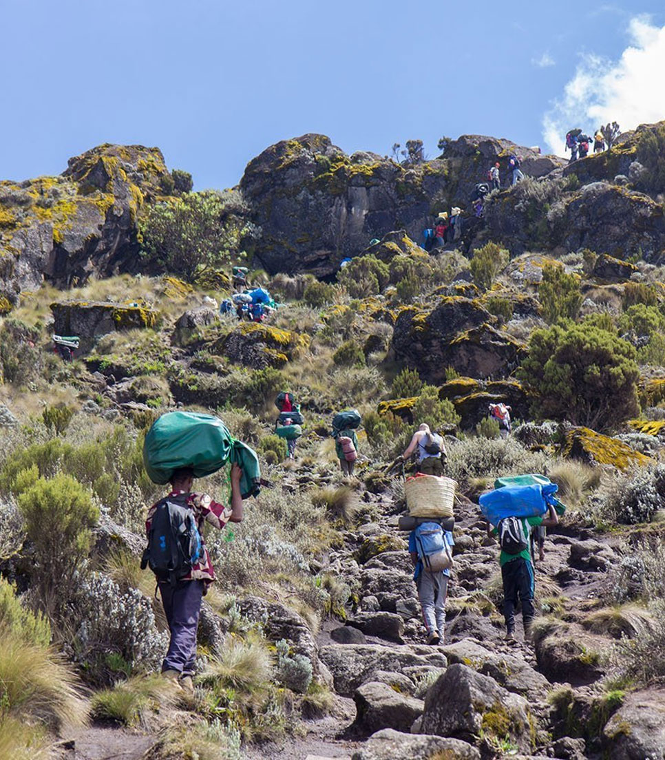 Image number 2 for Trek Marangu Route 5day Trek 7day Tour