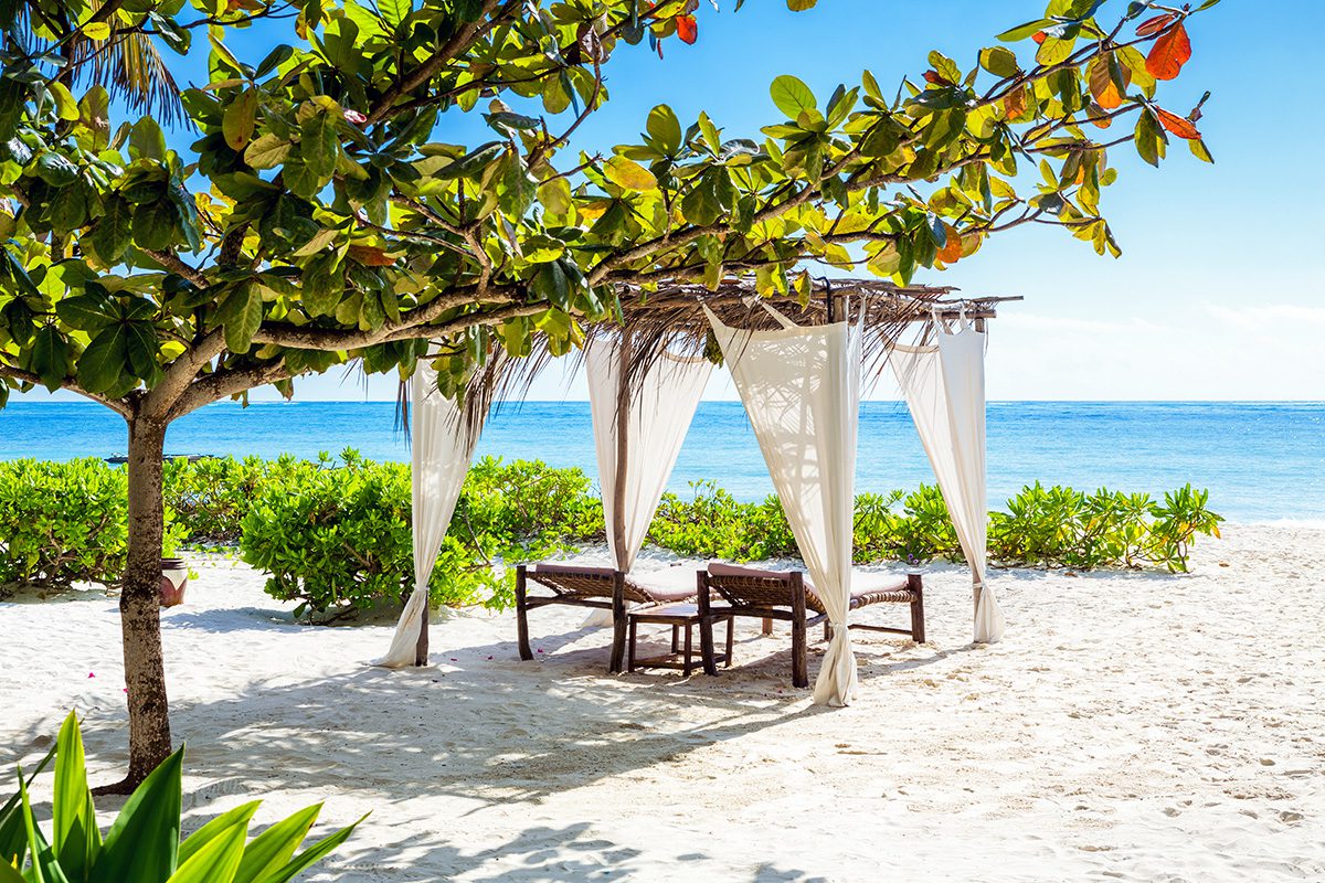 Image number 9 for Tanzania Luxury Safari & Zanzibar Beach Escape