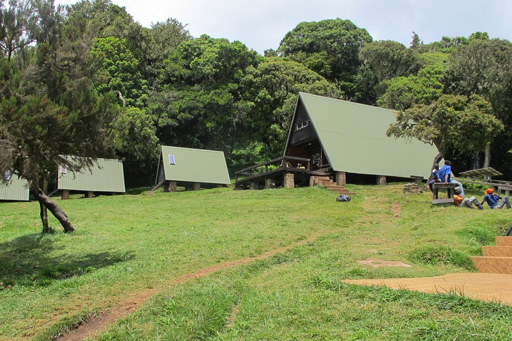 Image number 3 for Climb Mt. Kilimanjaro Via Marangu Route 