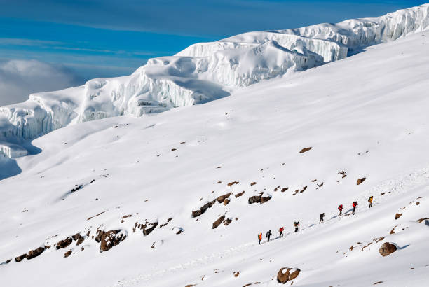 Image number 3 for Kilimanjaro Lemosho Route