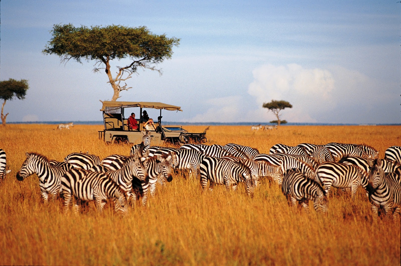 Image number 7 for  Serengeti & Lake Manyara   