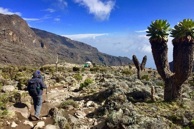 Image number 4 for Kilimanjaro Trek Lemosho Route 6day Trek 8day Tour