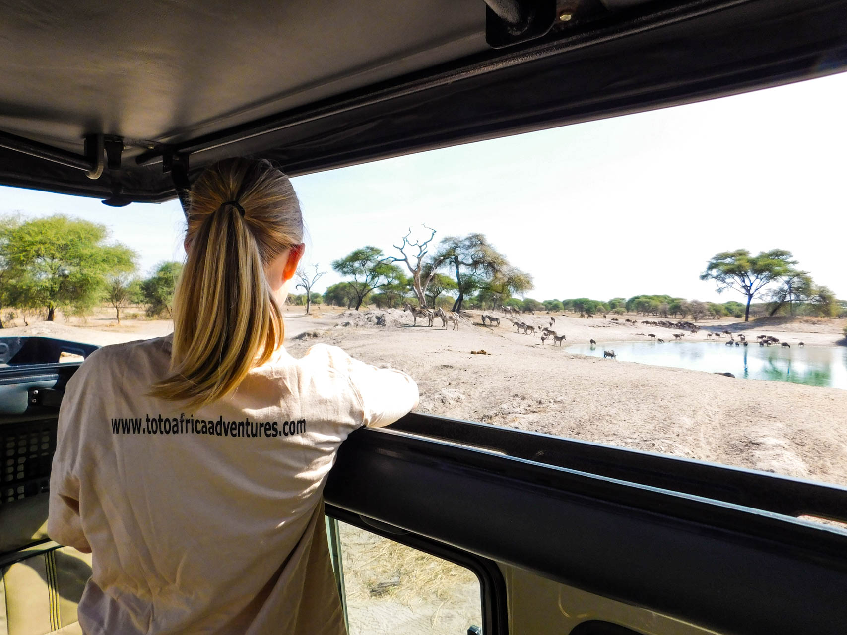 Image number 1 for Tanzania Affordable Camping Safari