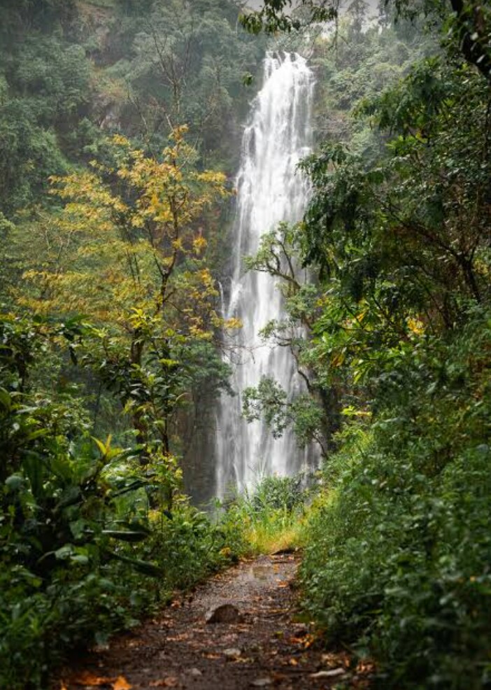 Image number 1 for Materuni Waterfall Cultural Day Trip