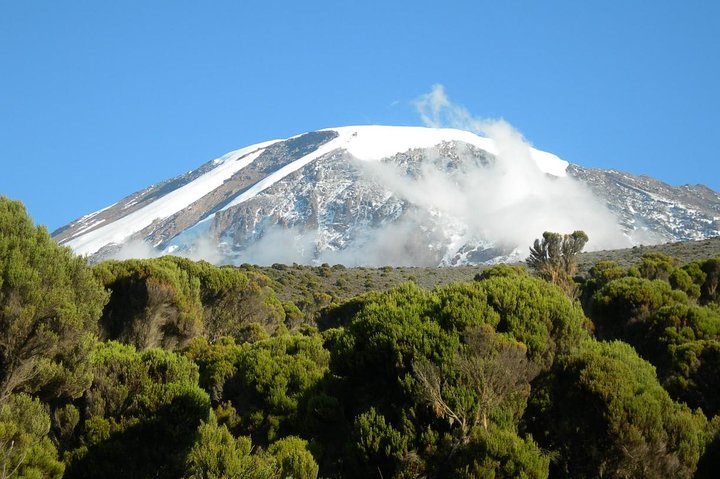 Image number 3 for Kilimanjaro Trek Lemosho Route 8day Trek 10daytour