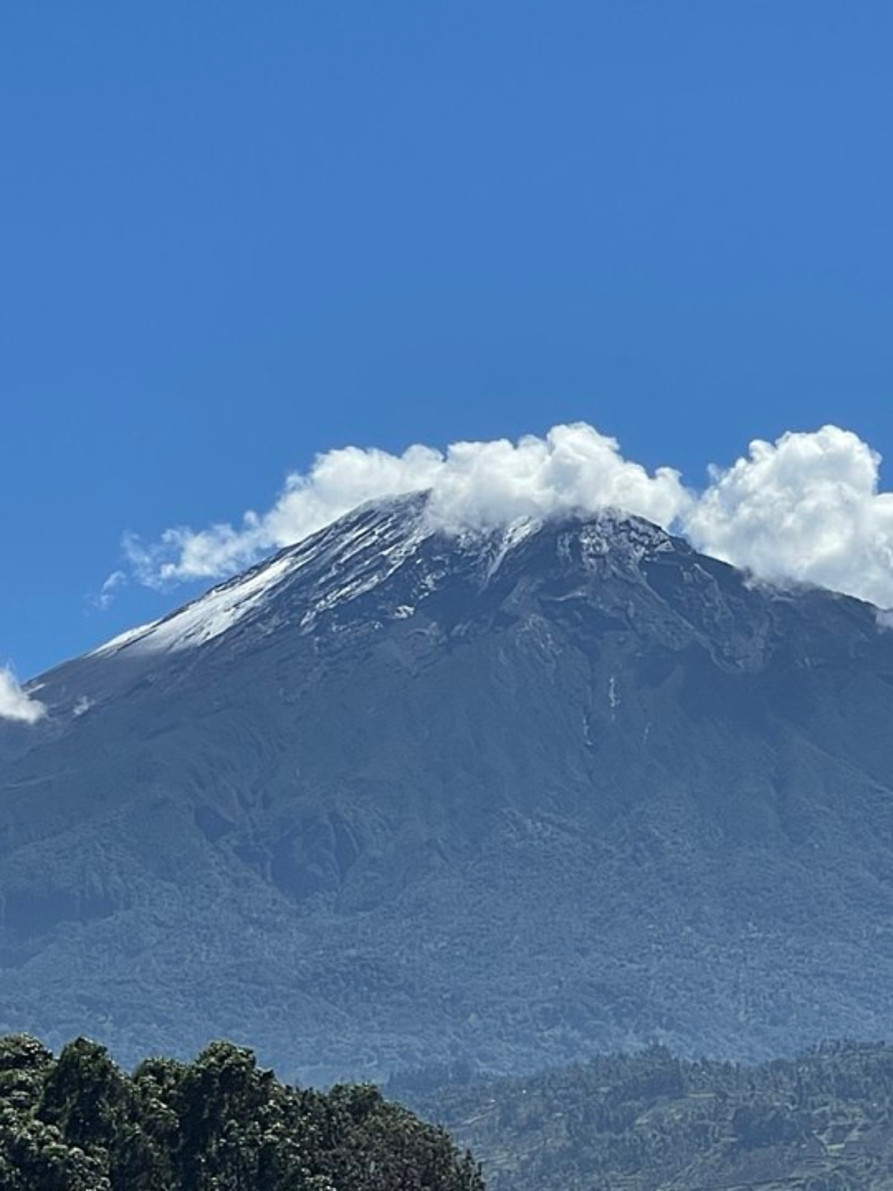 Image number 2 for 7 Days Machame Route Kilimanjaro Climbing Tour 