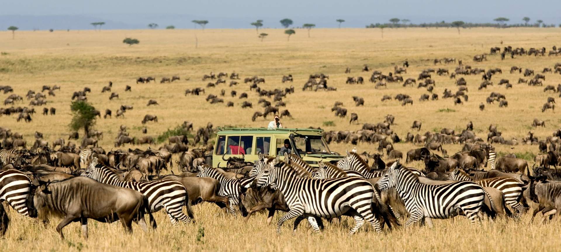 Image number 6 for Majestic Masai Mara: 4-day Big Five Safari 