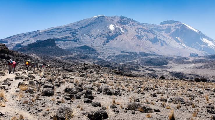 Image number 8 for Kilimanjaro Trek Lemosho Route 7day Trek 9day Tour