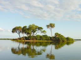 Image number 8 for Zanzibar Island, Nyerere National Park 