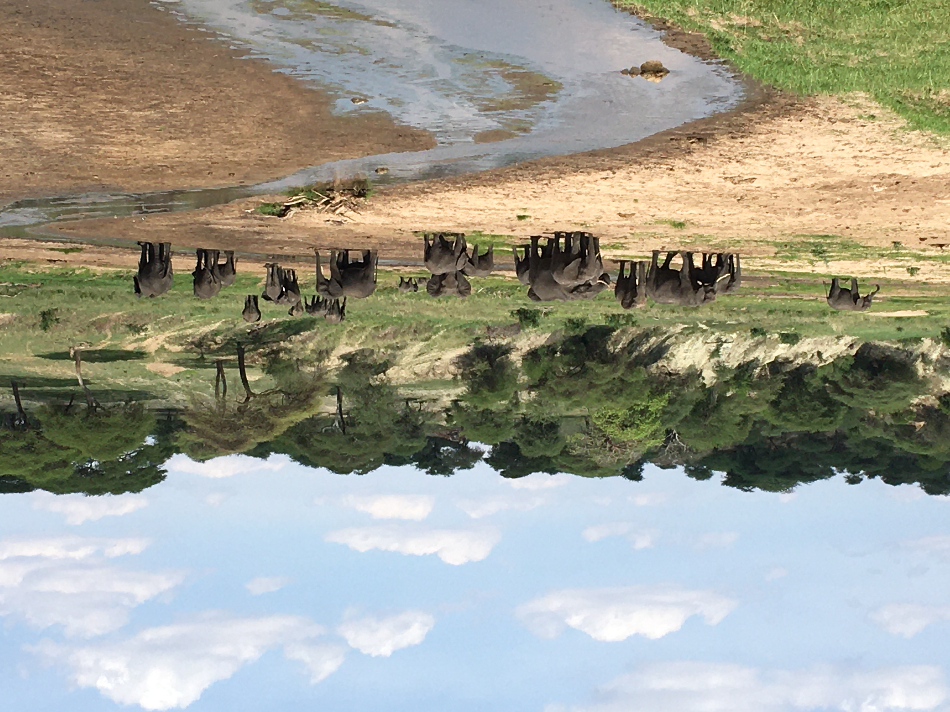 Image number 1 for  Lake Manyara, Ngorongoro Crater & Tarangire