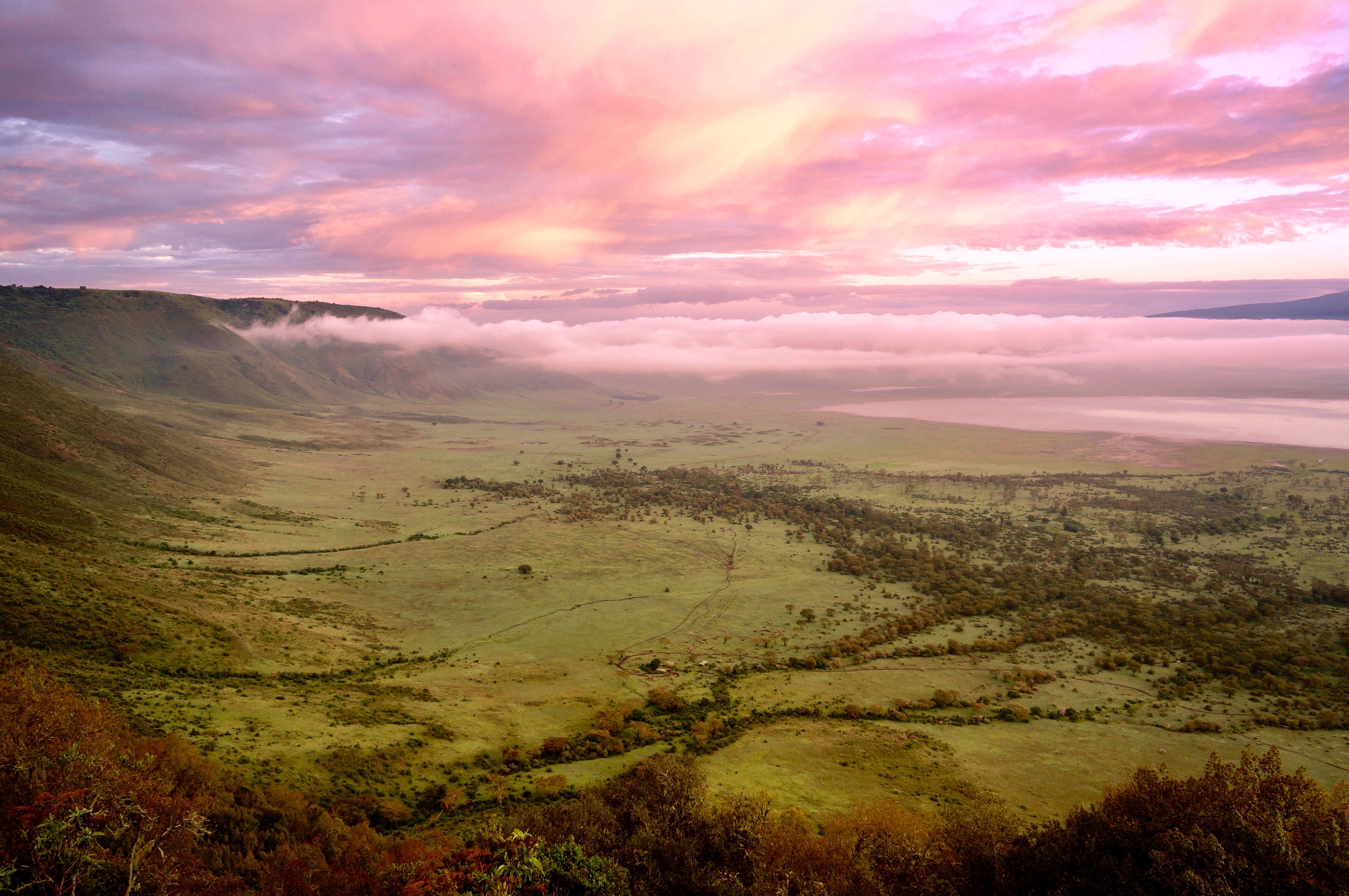 Image number 3 for 2-days Tanzania Wonderful Safari