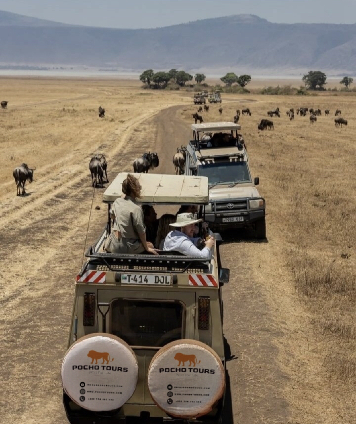 Image number 1 for 3 Day Serengeti & Ngorongoro Safari Group Camping