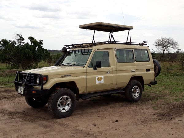 Image number 2 for Mikumi National Park - Game Drive