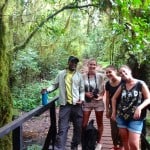 Image number 1 for Kilimanjaro Day Trip 