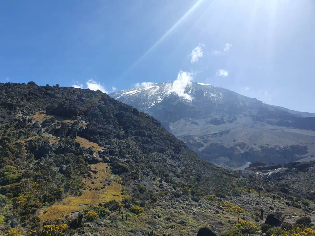 Image number 5 for 8 Days Kilimanjaro Climb Lemosho Route