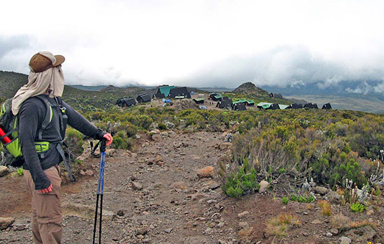 Image number 3 for 5 Days Kilimanjaro Marangu Route