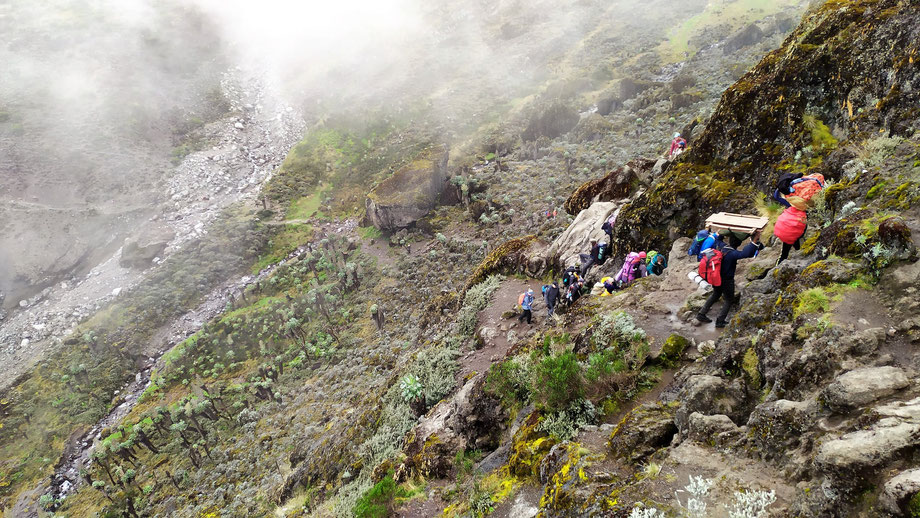 Image number 4 for Kilimanjaro Trek  Umbwe Route 6-day Trek 8day Tour