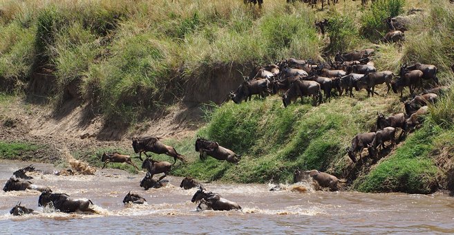 Image number 2 for 4 Days Kenya Safari