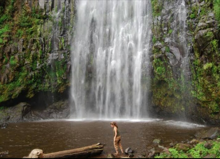 Image number 2 for Materuni Waterfall Cultural Day Trip