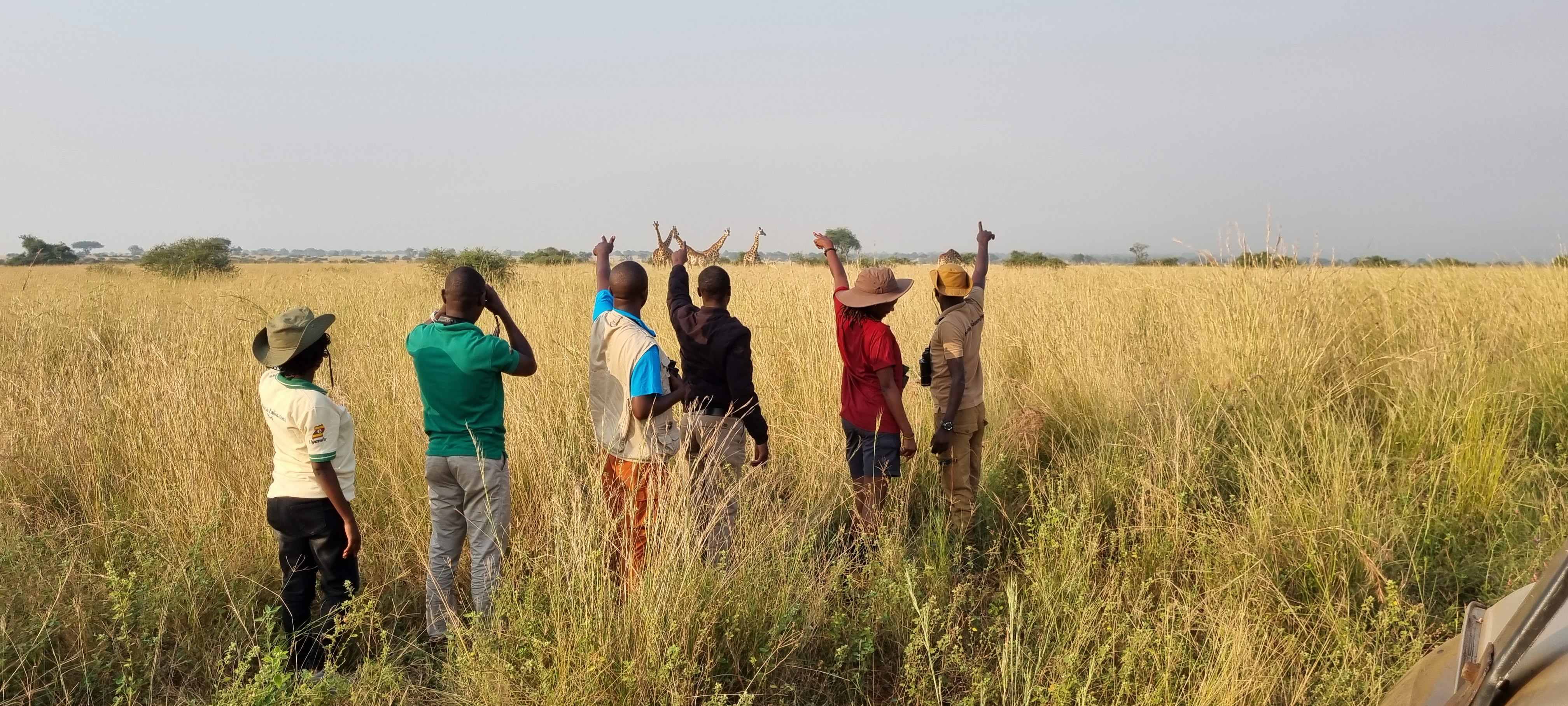 Image number 2 for 8 Days Uganda Primate Tracking Safari