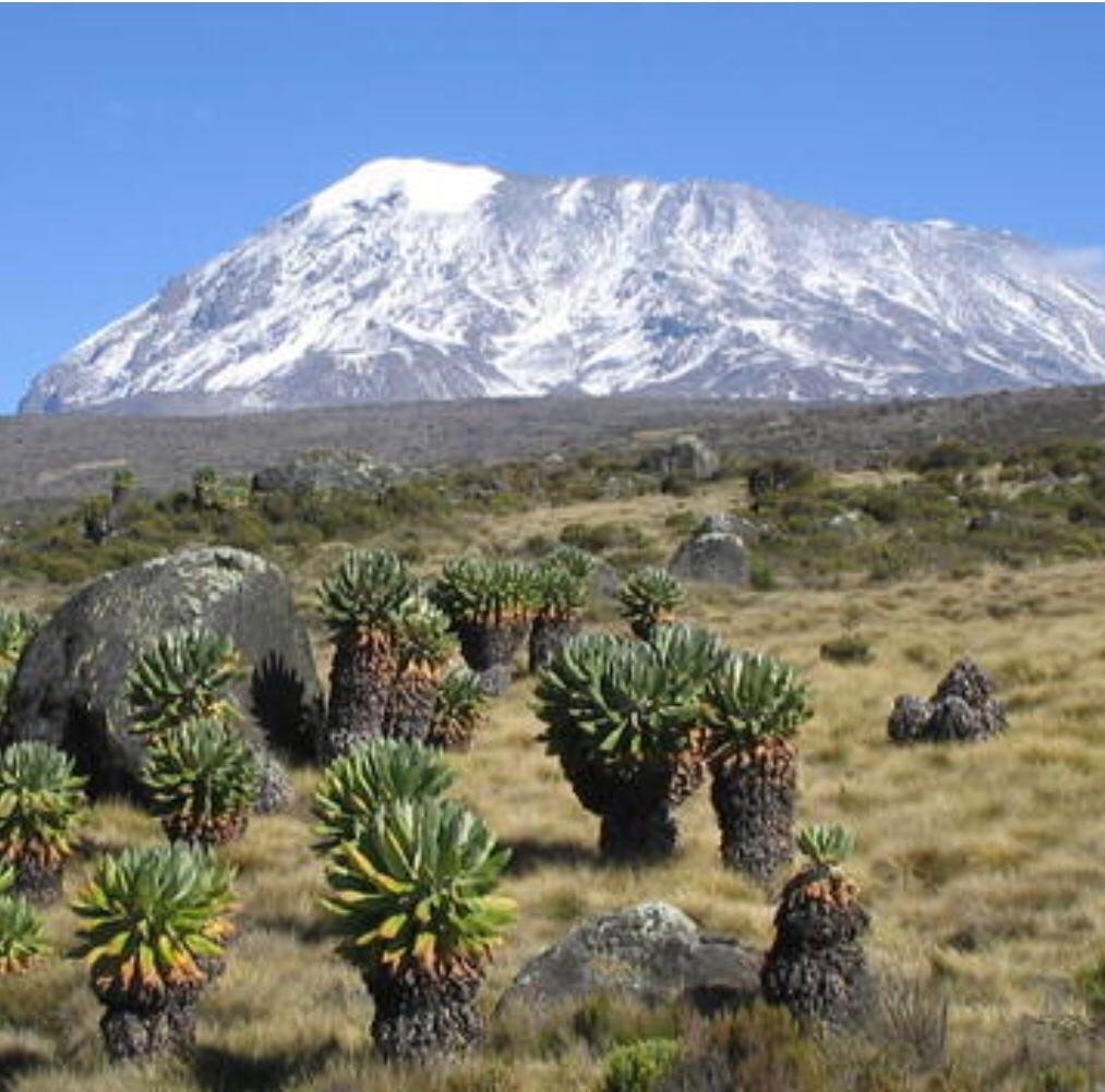 Image number 1 for Seven Days Scenic Machame Route