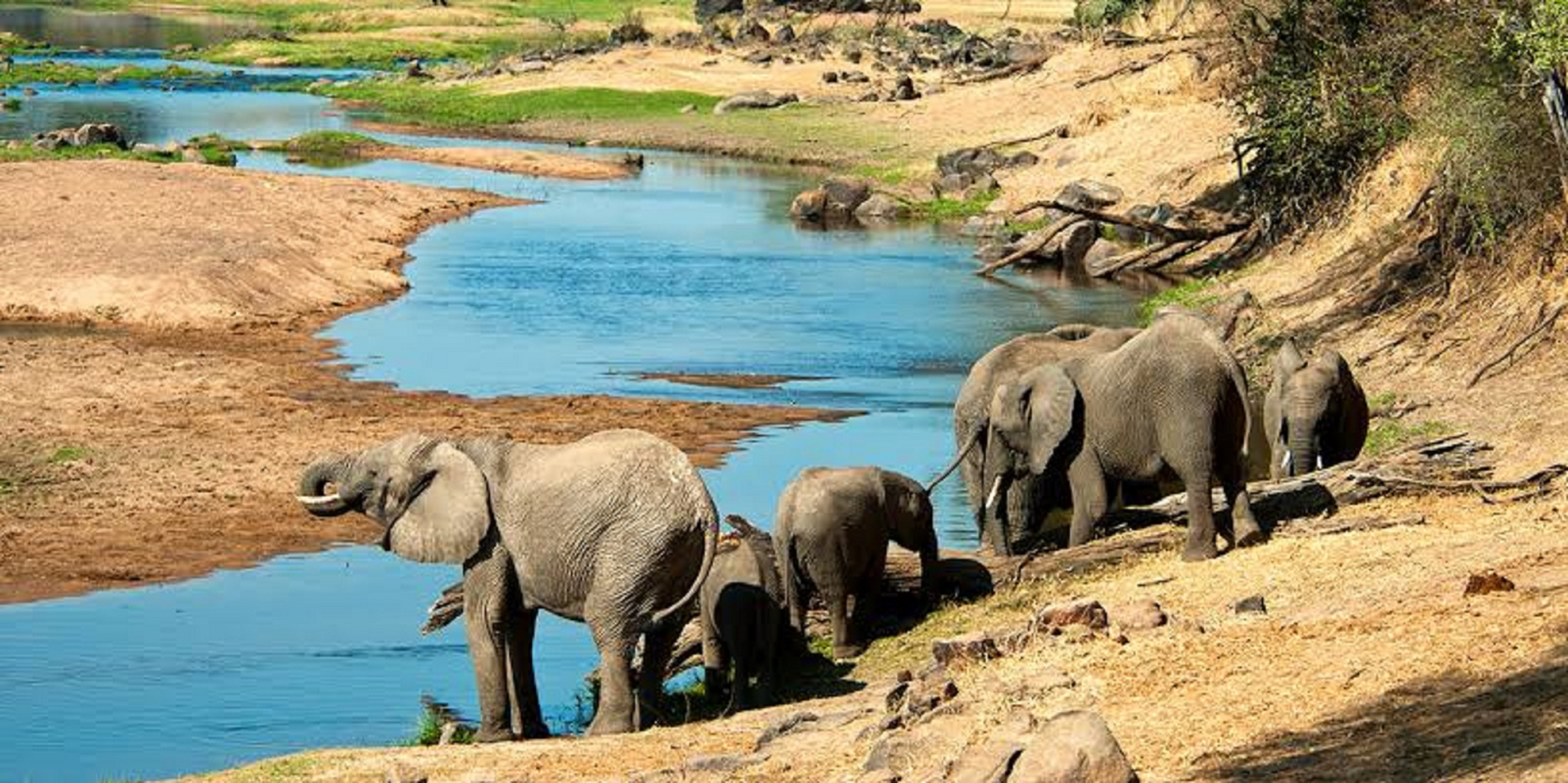 Image number 3 for Ruaha Adventure Tour