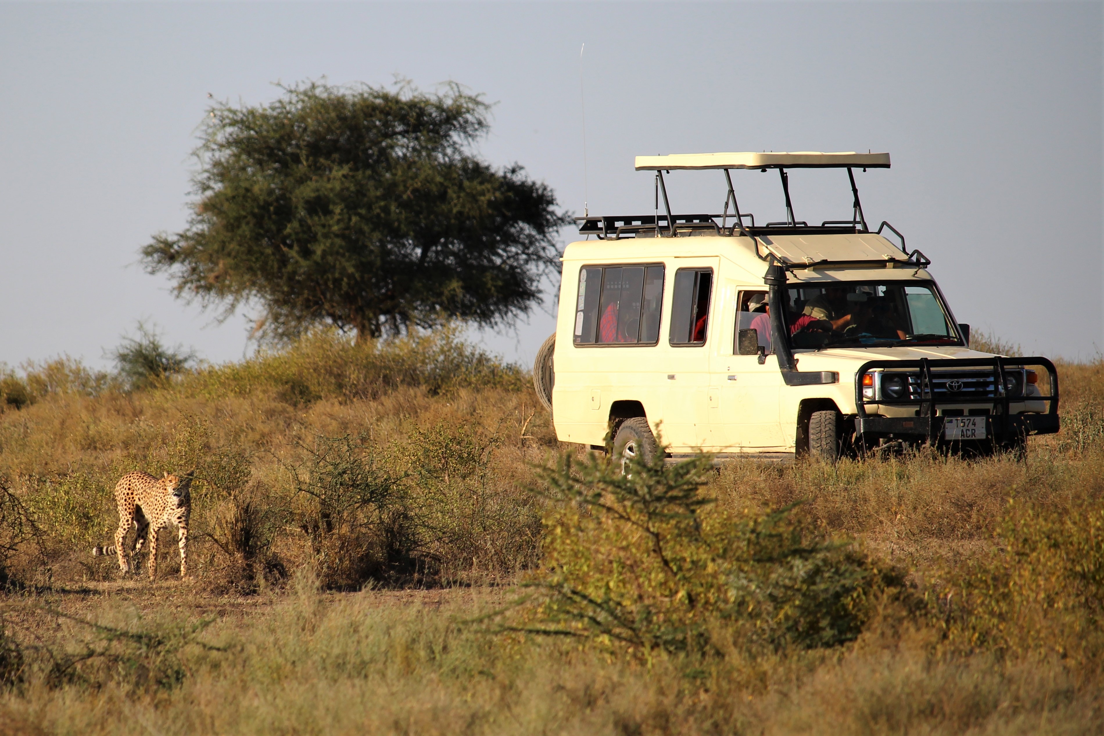 Image number 1 for 5 Days Tanzania Private Lake Manyara