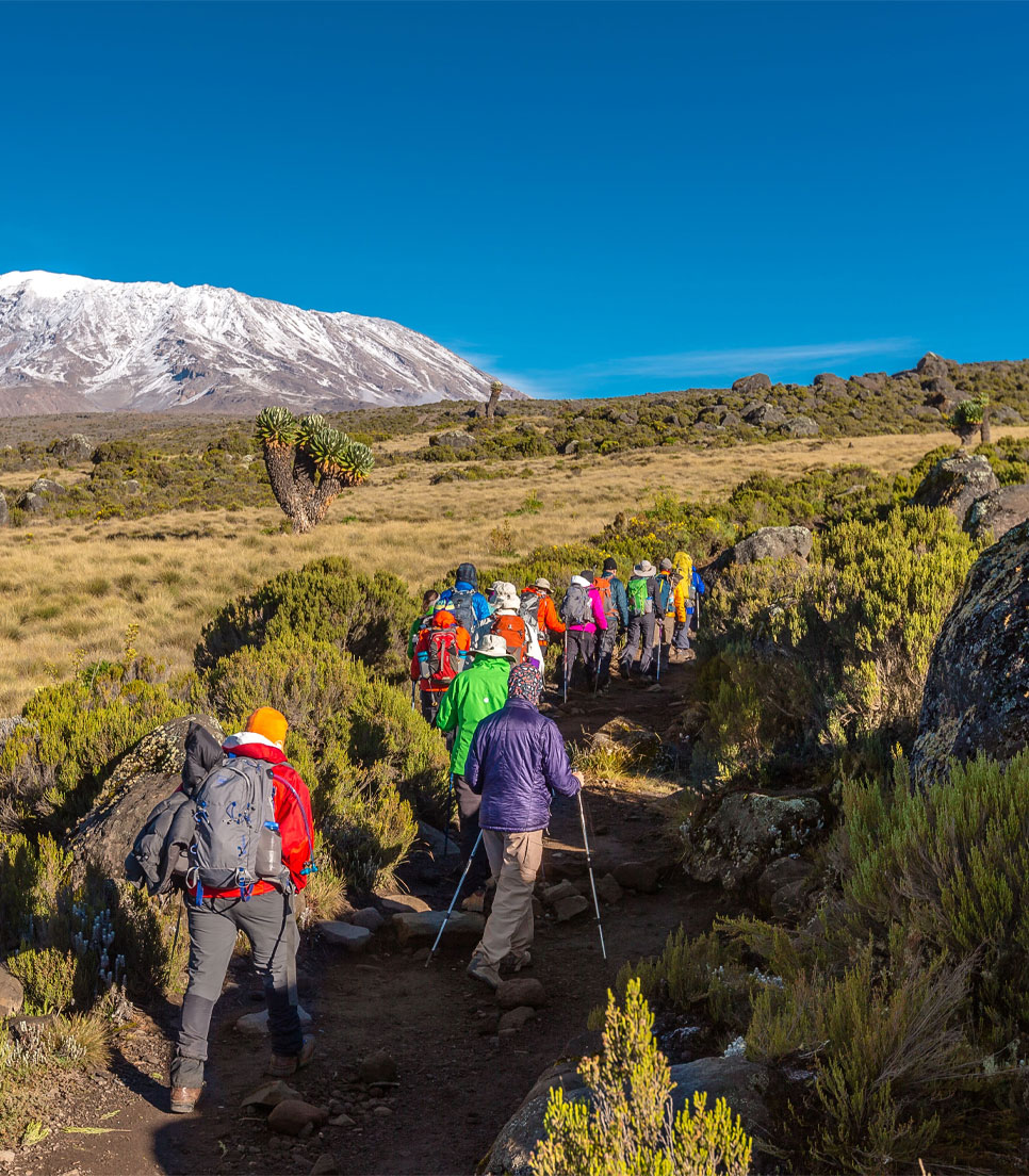 Image number 4 for Kilimanjaro Trek Machame Route 6day Trek 8day Tour