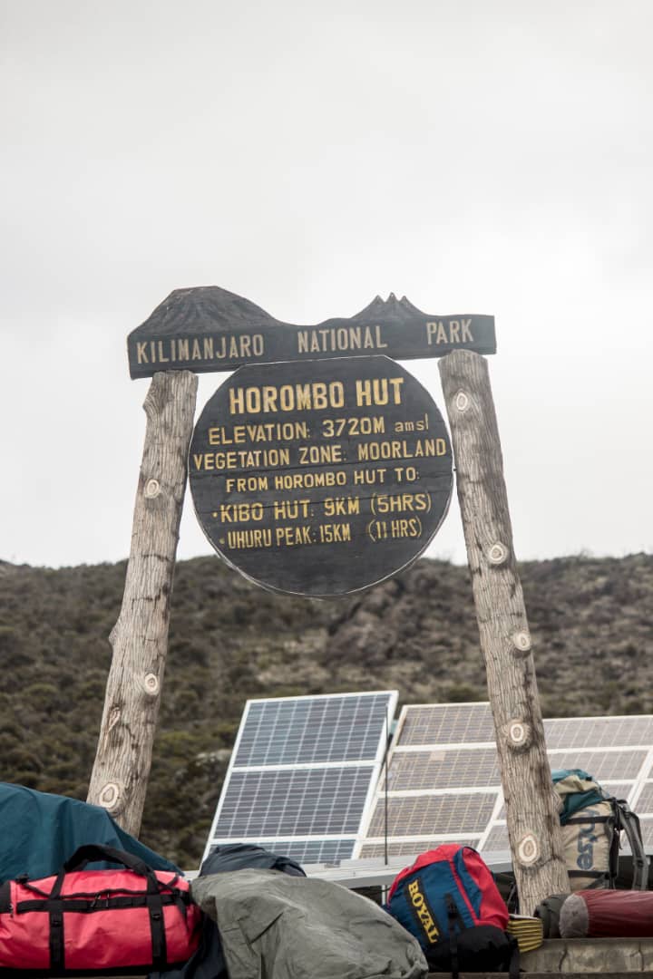 Image number 8 for Kilimanjaro Climbing 6 Days Marangu Route