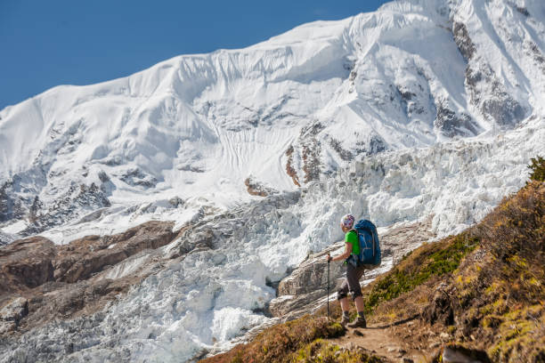 Image number 3 for Ascenso Al Monte Kilimanjaro Por La Ruta Lemosho