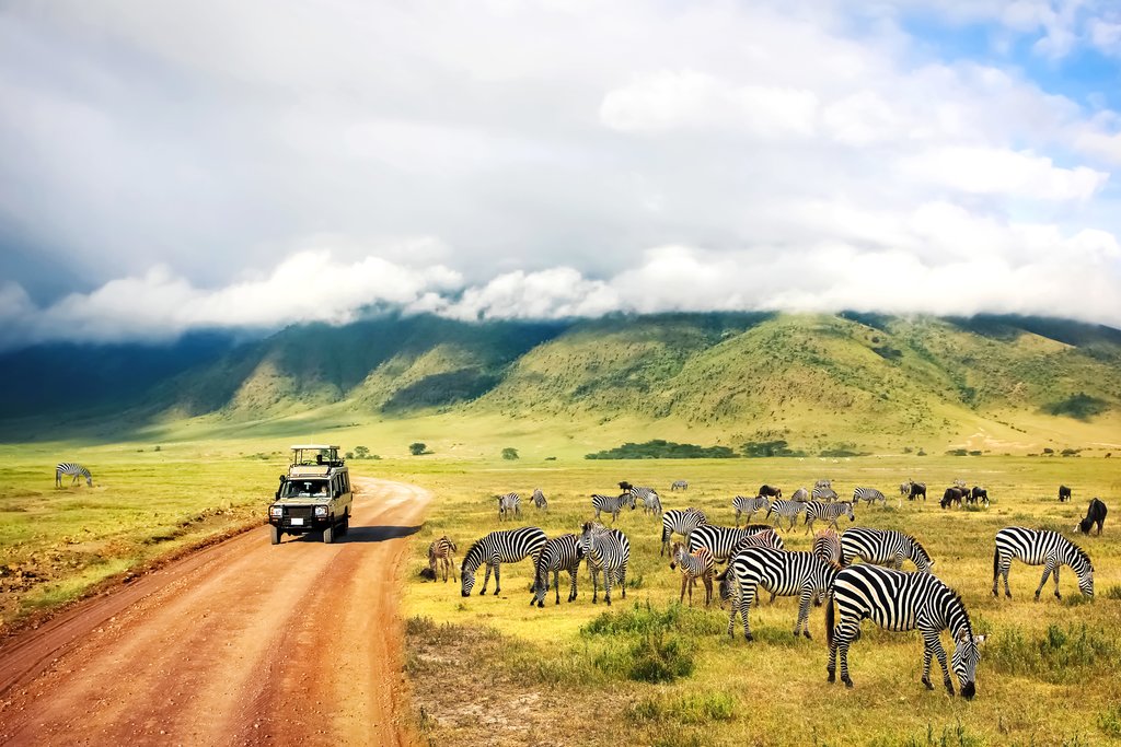 Image number 4 for Join Group Safari Tanzania