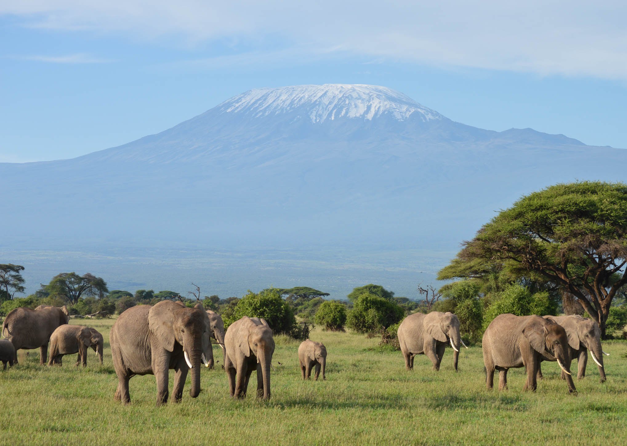 Image number 6 for Quick Amboseli Escape: A 2-day Safari Adventure