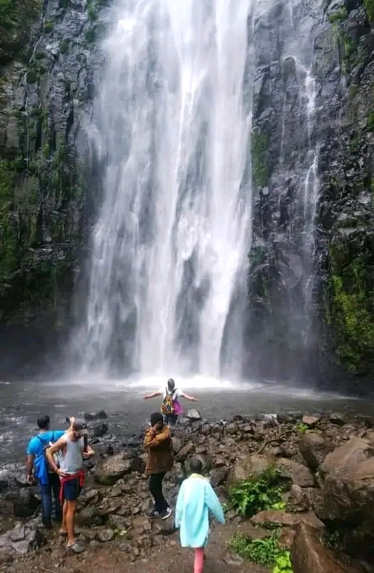 Image number 6 for Day Trip To Materuni Waterfall And Coffee Tour.