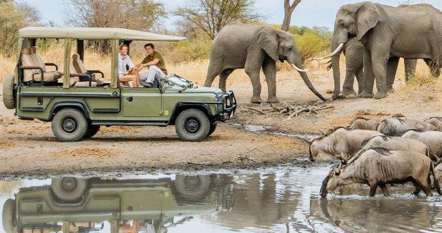 Image number 2 for 4 Days Tanzania Luxury Safari