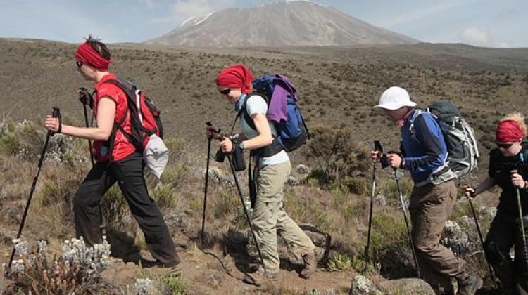 Image number 3 for Short Kilimanjaro Trek