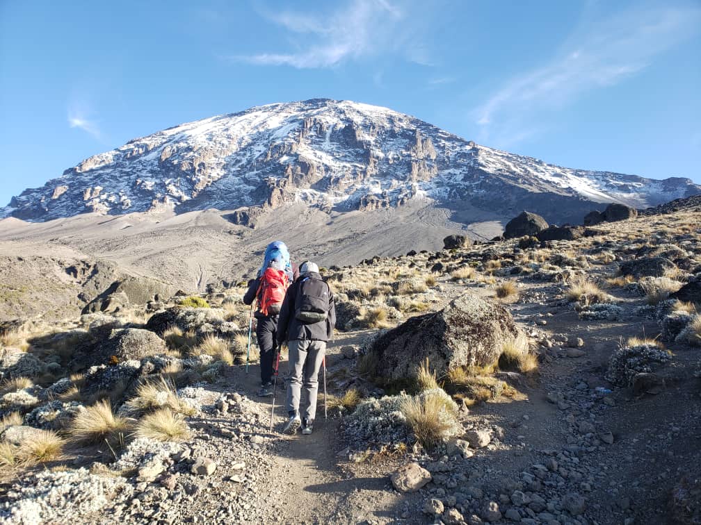 Image number 6 for 7 Days Kilimanjaro Climb Lemosho Route