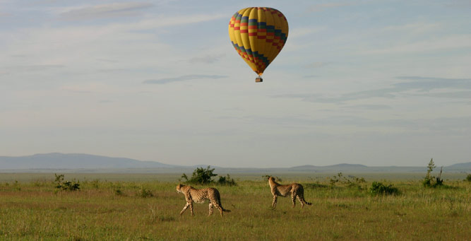 Image number 2 for 4 Days Serengeti National Park 