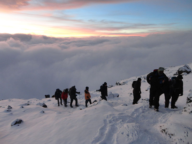 Image number 4 for Trek Machame Route (6 - Day) Trek 8 - Day Tour