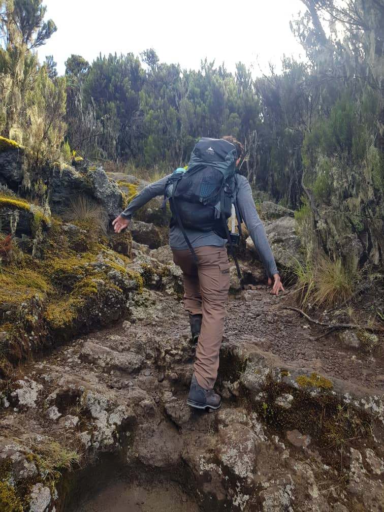 Image number 2 for 7-day Umbwe Route Kilimanjaro Climb