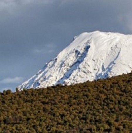 Image number 2 for 8-day Kilimanjaro Lemosho Route 