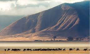 Image number 2 for 1 Day Safari To Ngorongoro Crater