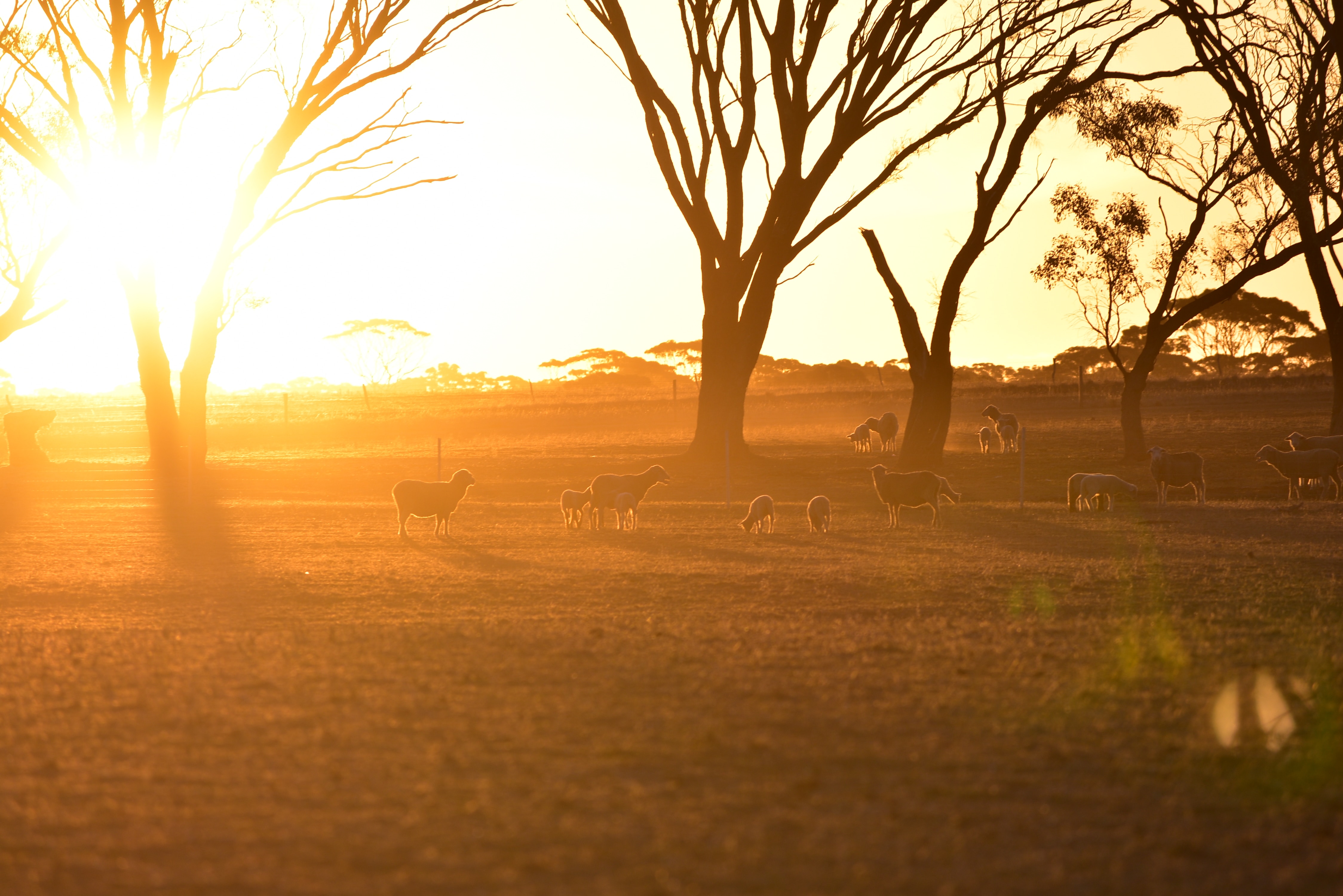 Image number 1 for 4 Days  Serengeti Migration Safari