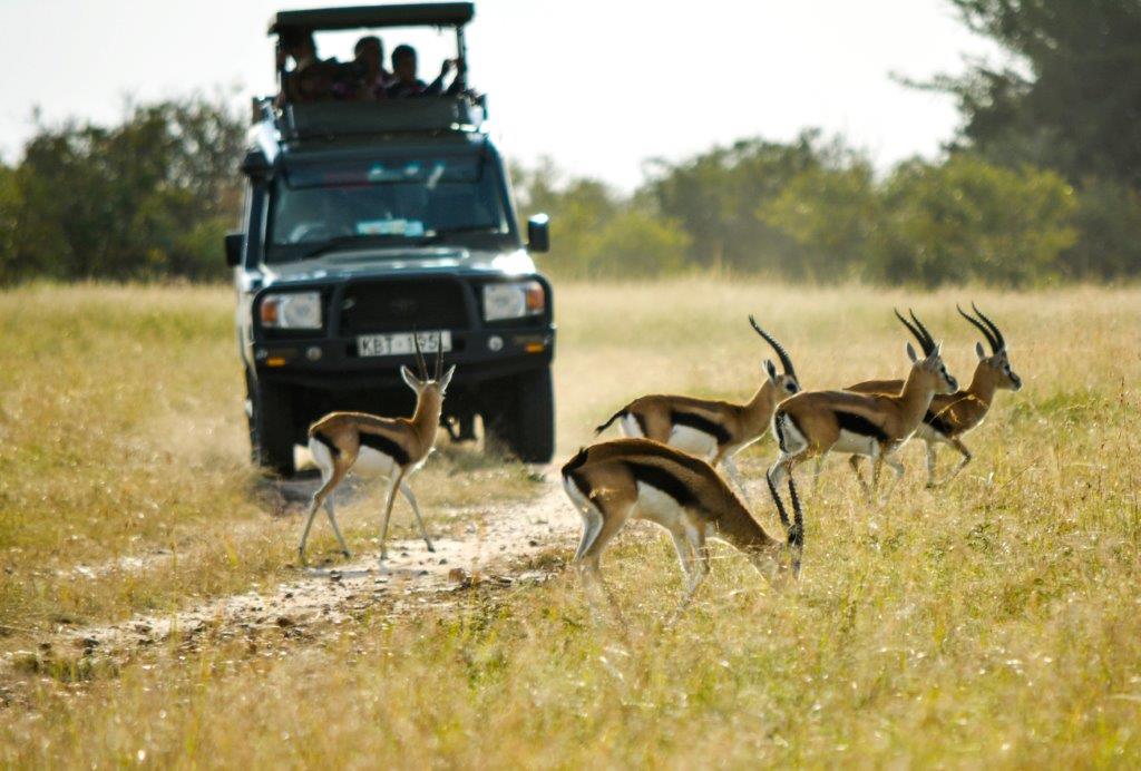 Image number 1 for 3 Days Tanzania Private Safari