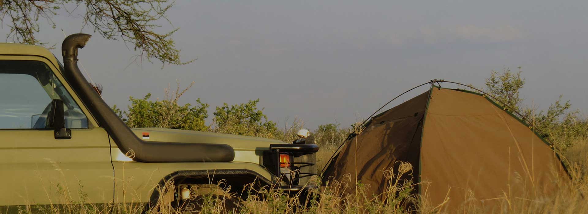 Image number 4 for  6 Days Tanzania Camping Safari