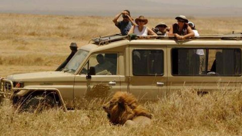 Image number 2 for Fly In Safari To Serengeti And Fly Out 