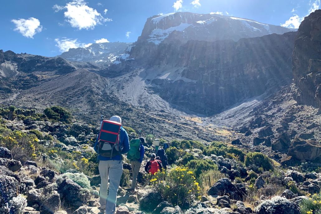 Image number 2 for 7 Days Lemosho Route Climbing