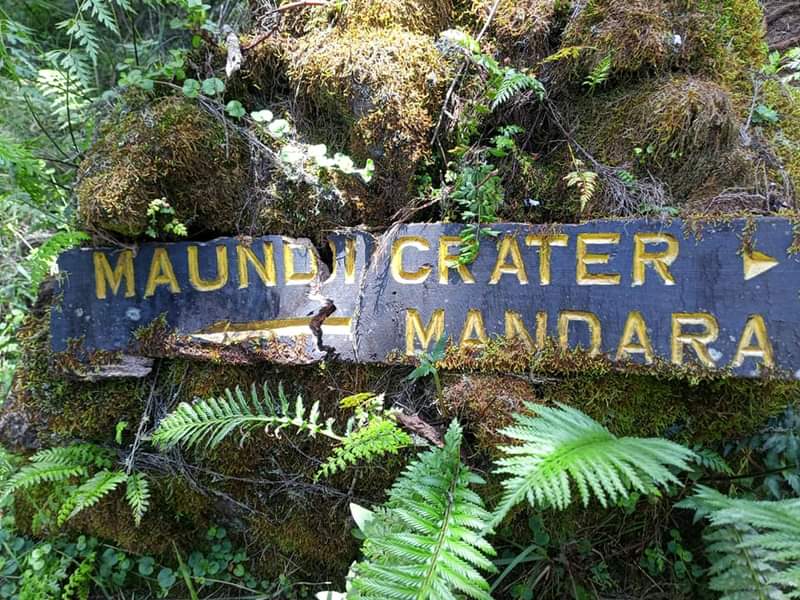 Image number 5 for Day Trip To Mount Kilimanjaro Via Marangu 